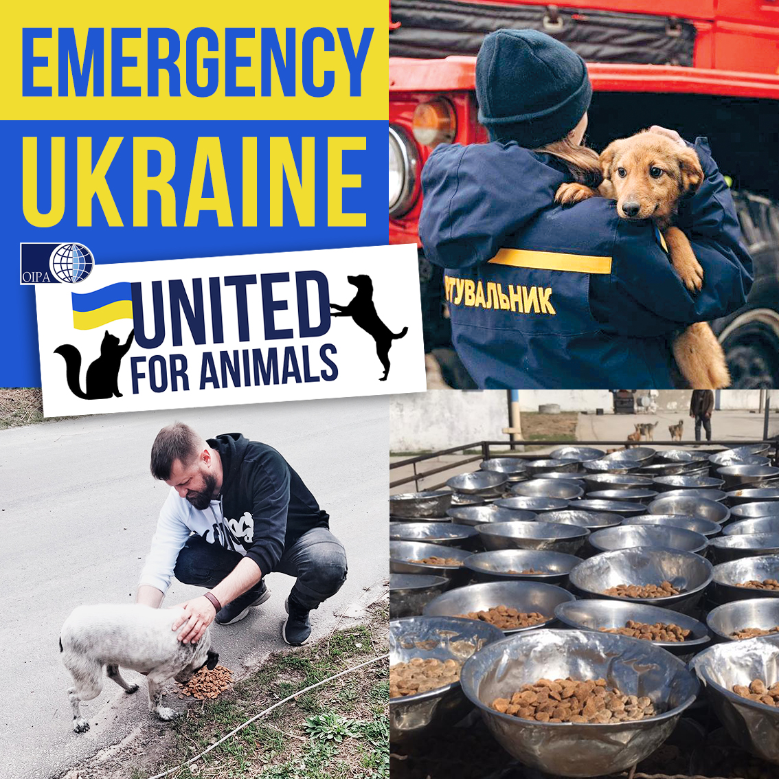 Emergency Ukraine