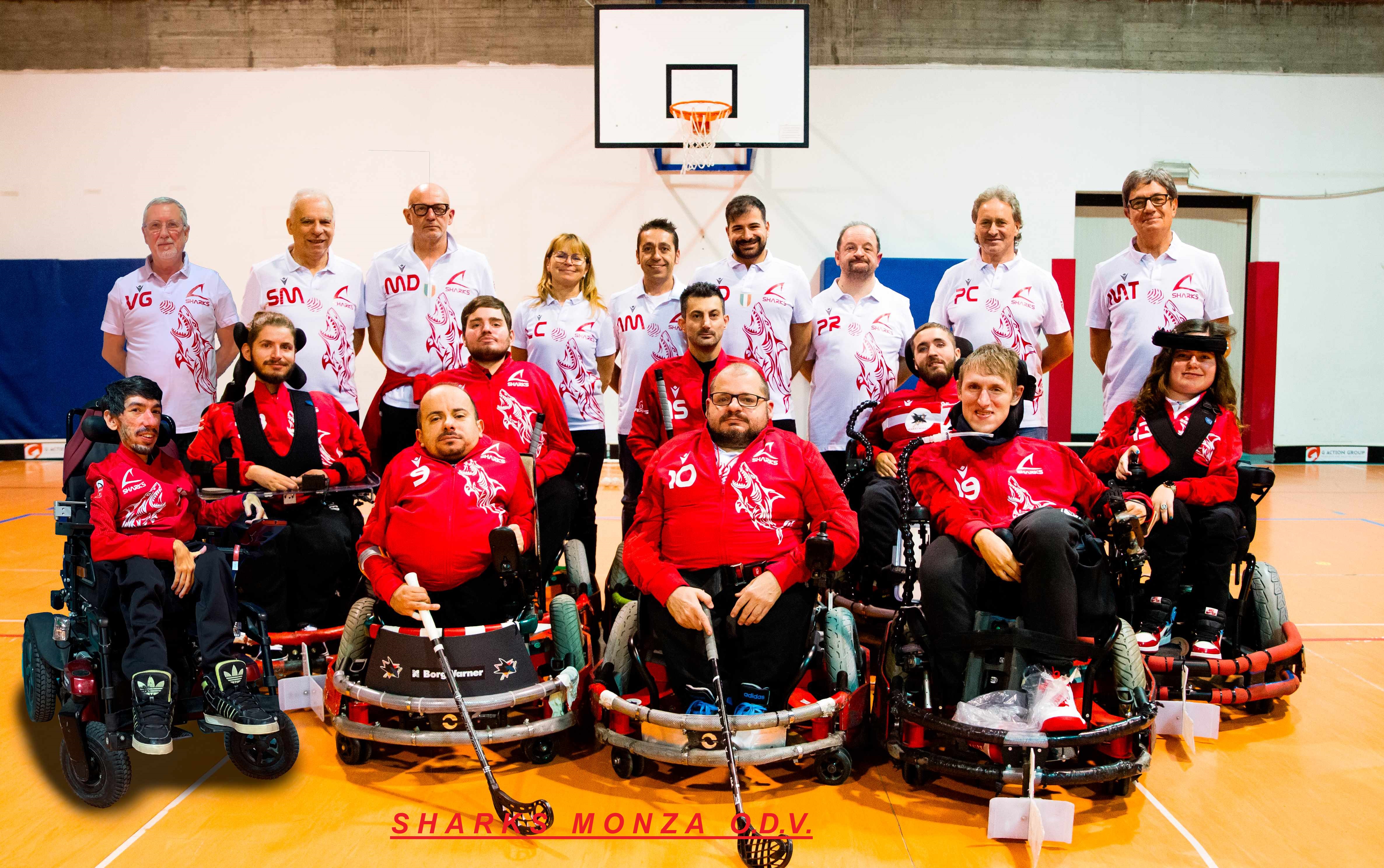 Squadra di serie A1  SHARKS MONZA ODV