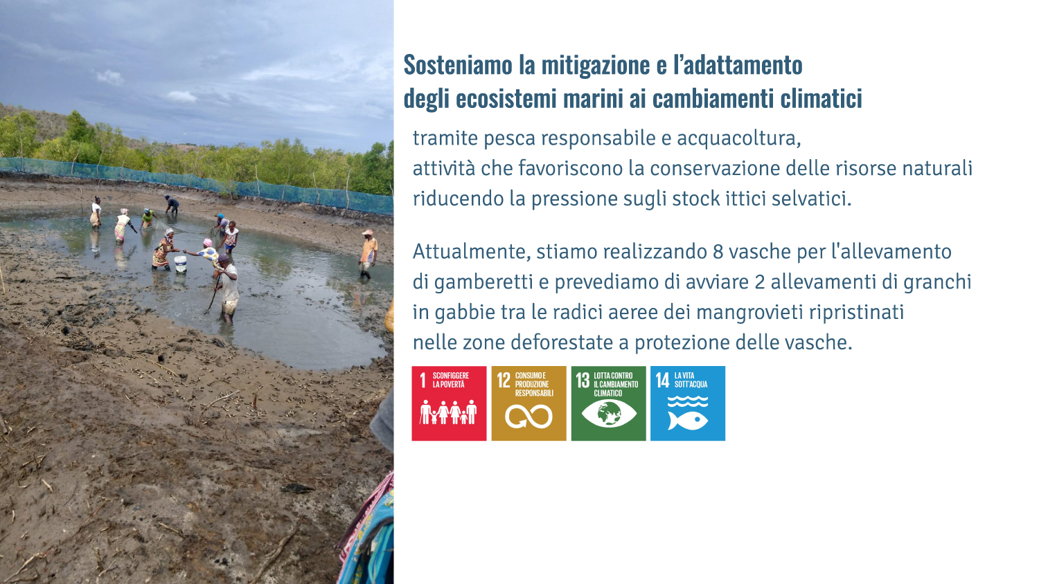 Sosteniamo la mitigazione e l’adattamento  degli ecosistemi marini ai cambiamenti climatici