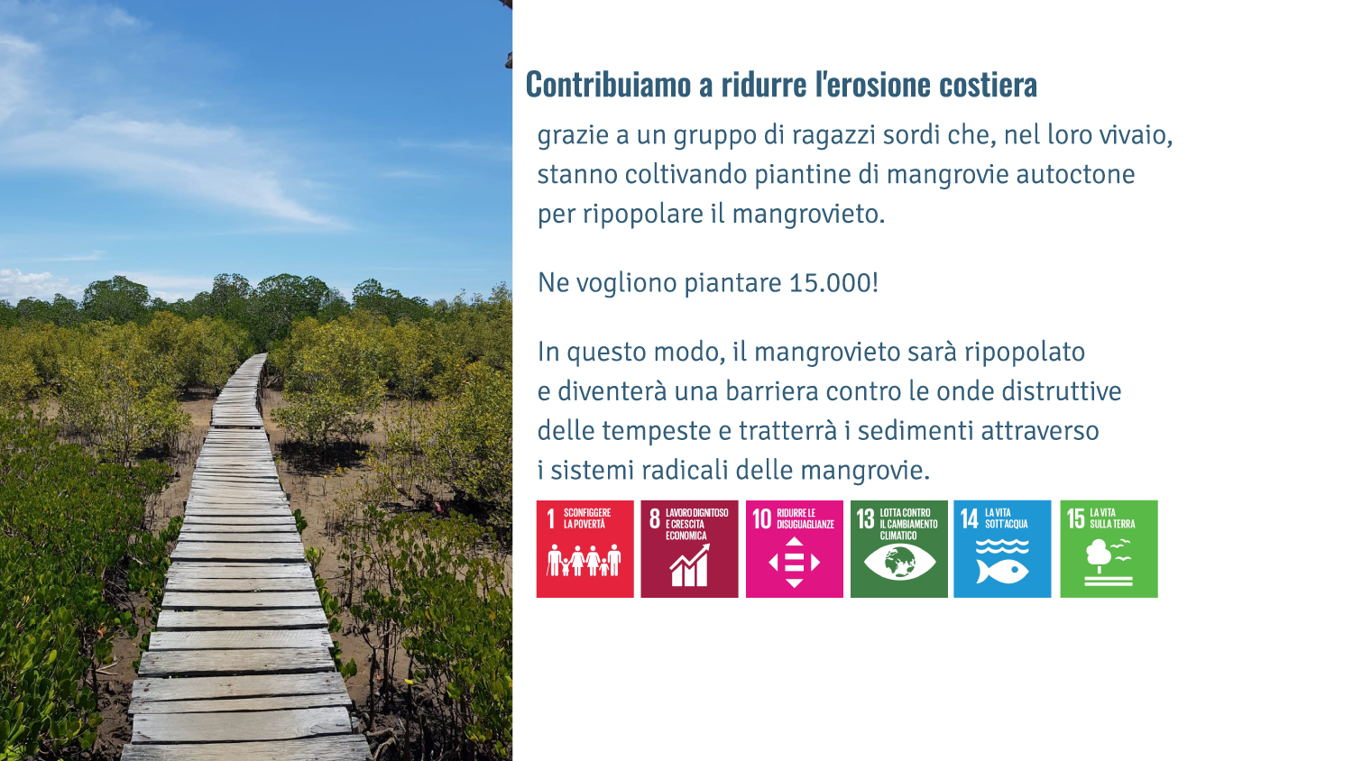 Contribuiamo a ridurre l'erosione costiera