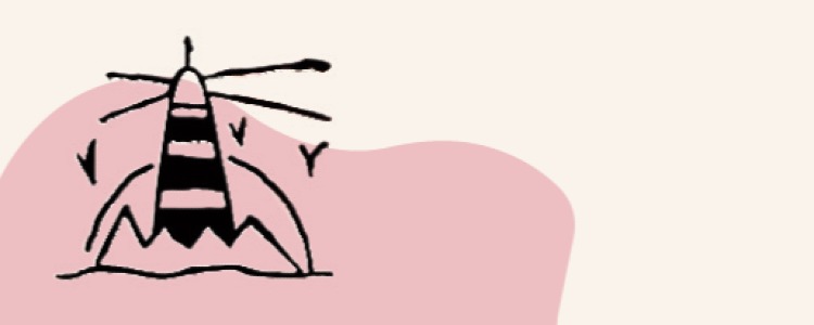 profile