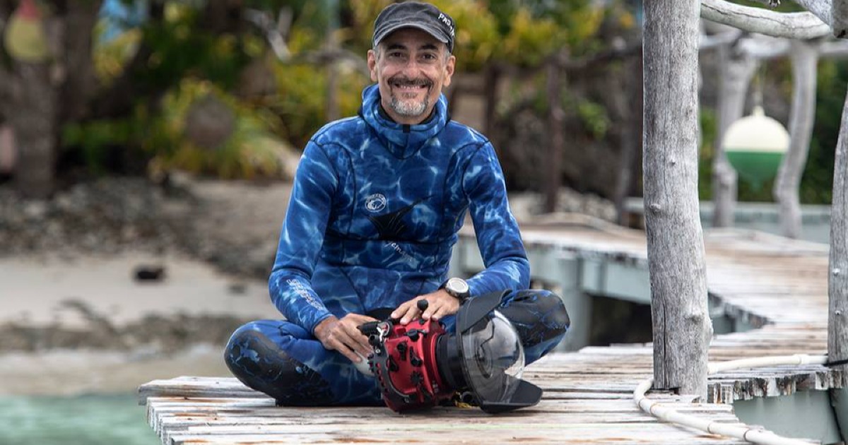 In memory of David Salvatori-Paola Mattiol