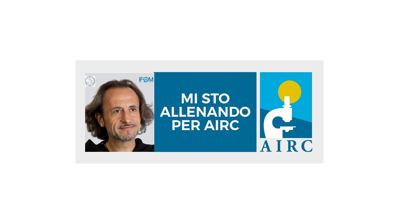AIRC4AIRC 2.0-Niccolò Contucci