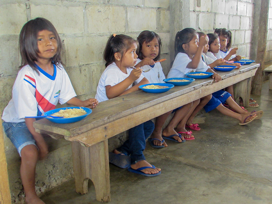Brasile: 50 amache per 50 piccoli indios-Missioni Don Bosco Valdocco Onlus
