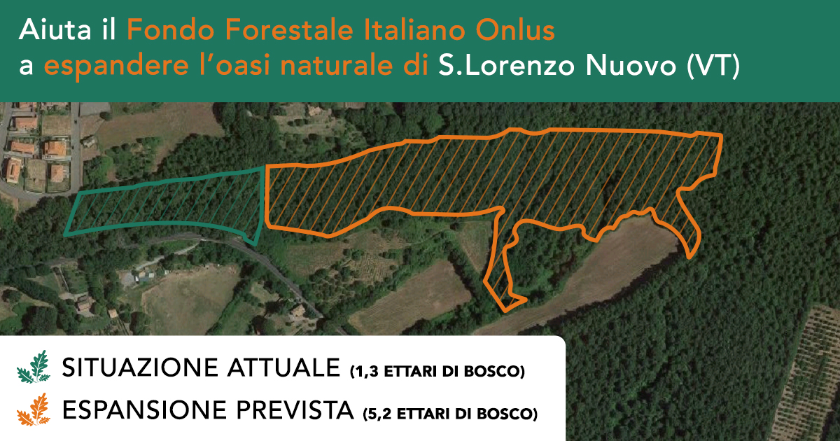  Espandiamo l'Oasi del Fondo Forestale -Fondo Forestale Italiano onlus