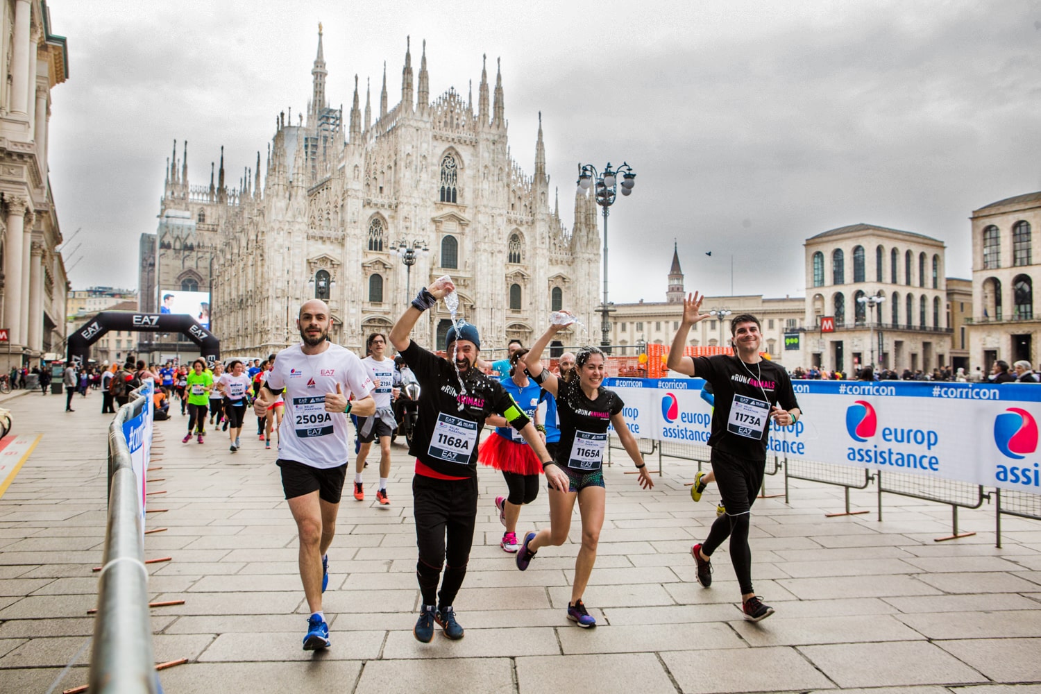 #run4animals - Milano Marathon 2020-Animal Equality