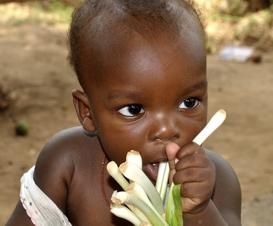 35000 pasti per i profughi haitiani-Smile to Life Onlus