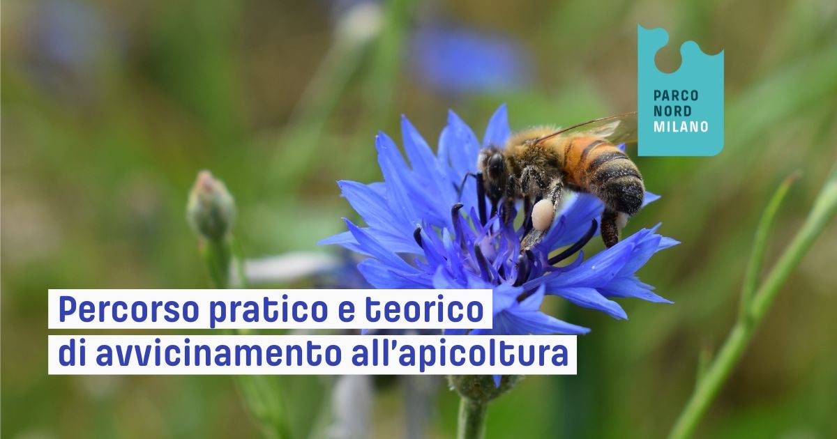 Percorso teorico e pratico apicoltura-Parco Nord Milano