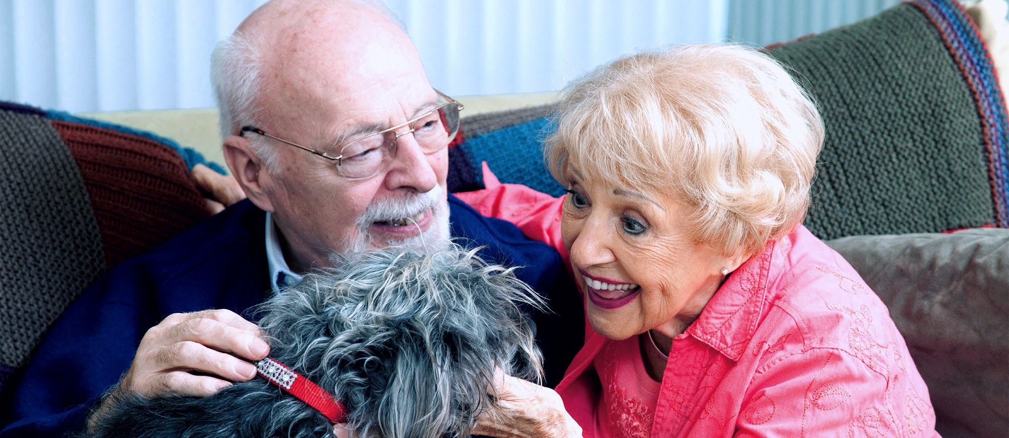 QUA LA ZAMPA! Pet Therapy vs Alzheimer-Piccolo Principe ONLUS