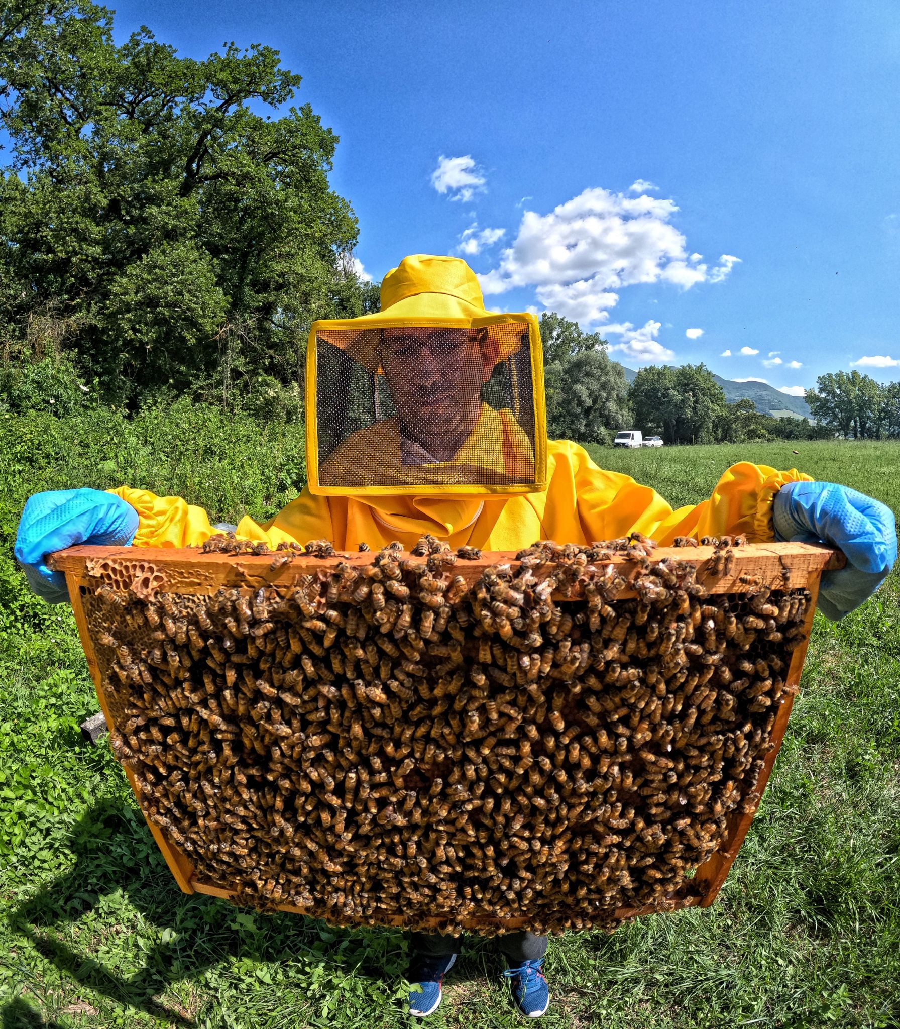 BeeFrolla - Dolci come il miele-Frolla Microbiscottificio