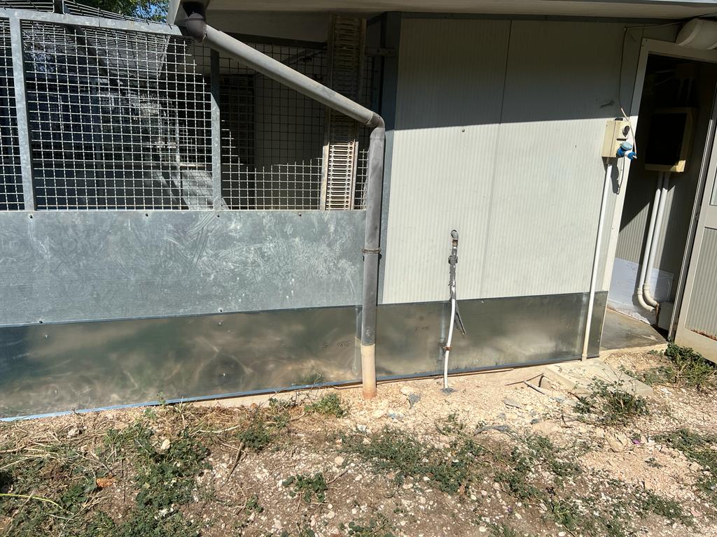 CUCCE CALDE PER I RANDAGI Di CAMERINO-L.N.D.C SEZIONE CAMERINO
