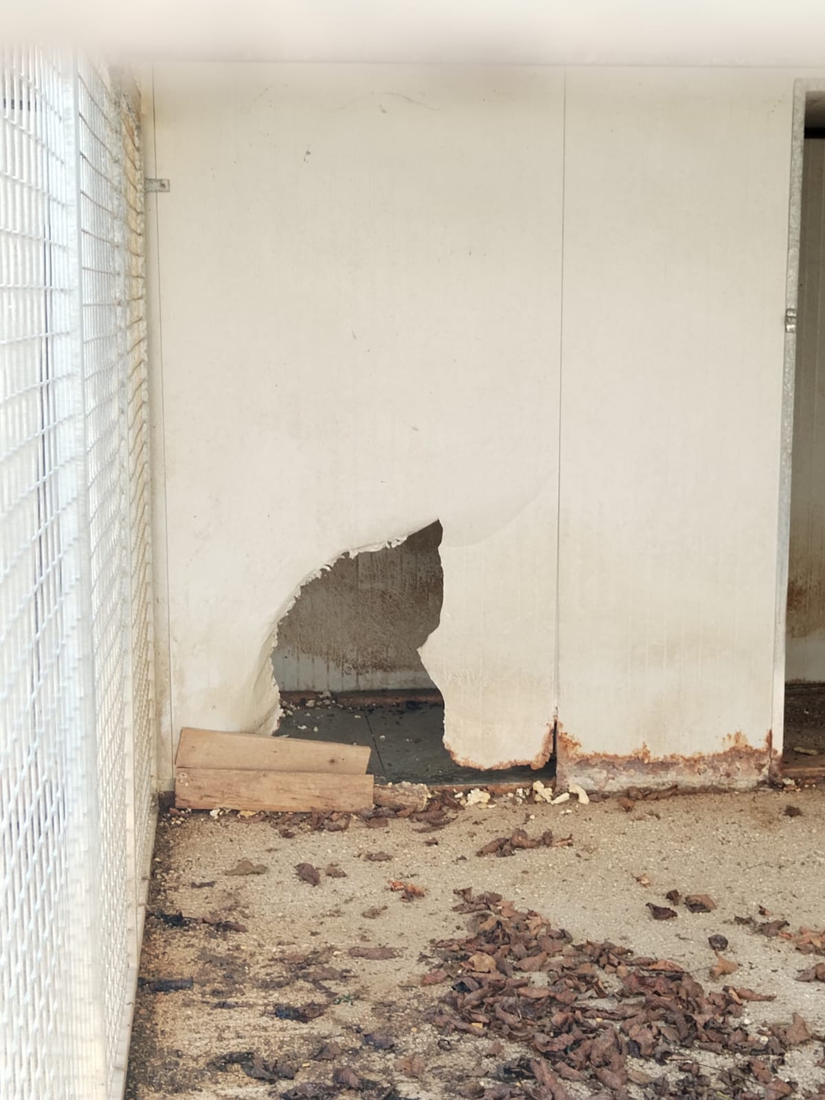 CUCCE CALDE PER I RANDAGI Di CAMERINO-L.N.D.C SEZIONE CAMERINO