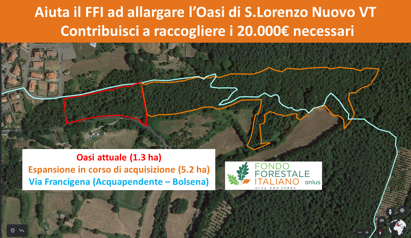  Espandiamo l'Oasi del Fondo Forestale -Fondo Forestale Italiano onlus