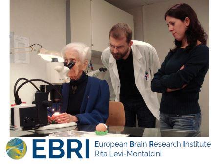 La memoria spaziale nell'Alzheimer -EBRI - Rita Levi-Montalcini