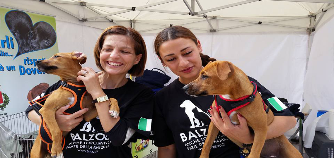 #RUNFORBALZOO - Protezione Animali-Balzoo Onlus