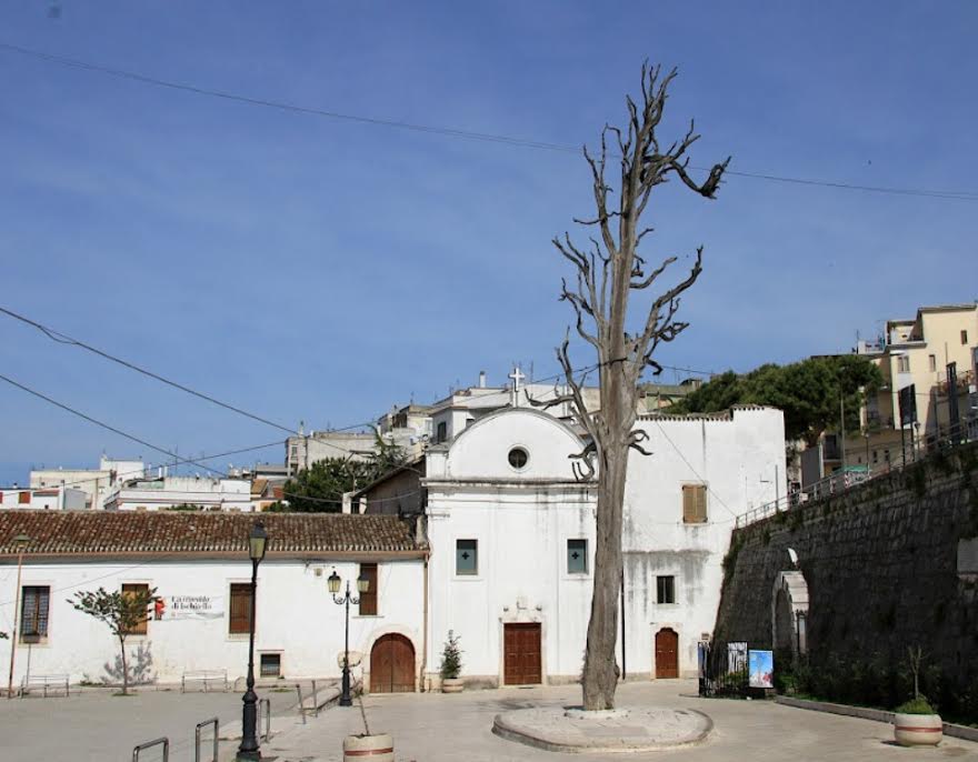 Valorizzazione albero di San Francesco-Associazione Pro Loco Uria
